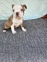 processed/c17b29f4-5f4c-461d-94a8-d8dfbedb84e7/listing/c55e081b-d4ee-44bb-8796-650c28371de0/f7354443-c7b2-4c0e-bdb0-c444a2eb736a