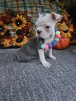 processed/c17b29f4-5f4c-461d-94a8-d8dfbedb84e7/listing/e33b10f8-0840-4d8c-8fc0-164ad031ccb1/9d7a654d-9e3f-4ffa-bff2-9a8f454a2bbe