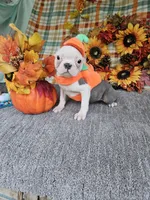 processed/c17b29f4-5f4c-461d-94a8-d8dfbedb84e7/listing/e33b10f8-0840-4d8c-8fc0-164ad031ccb1/9e1bb26d-6809-4db4-86c1-4e6c4da3f188