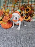 processed/c17b29f4-5f4c-461d-94a8-d8dfbedb84e7/listing/e33b10f8-0840-4d8c-8fc0-164ad031ccb1/a3a0bffe-39d8-4eae-a5dc-264511071d48