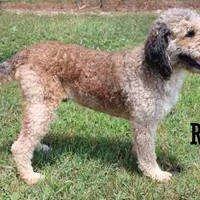 processed/c18069eb-d311-42d9-82f3-186976c999e0/facility/109002c4-93ec-4cdd-8816-c8930856e785