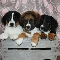 processed/c18069eb-d311-42d9-82f3-186976c999e0/facility/11a95276-5364-42ed-b798-1bf03e12bc89