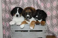 processed/c18069eb-d311-42d9-82f3-186976c999e0/facility/11a95276-5364-42ed-b798-1bf03e12bc89