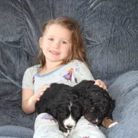 processed/c18069eb-d311-42d9-82f3-186976c999e0/facility/2fc25cf1-05cc-45c7-8c0f-bb1f640dbdbb