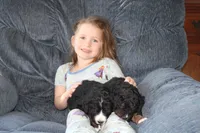 processed/c18069eb-d311-42d9-82f3-186976c999e0/facility/2fc25cf1-05cc-45c7-8c0f-bb1f640dbdbb