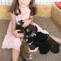 processed/c18069eb-d311-42d9-82f3-186976c999e0/facility/32c85e37-6078-4d89-b02c-8653869b83d8