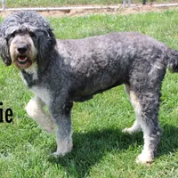 processed/c18069eb-d311-42d9-82f3-186976c999e0/facility/48f21a89-1d88-4f5c-a2e5-0611a091eb6a