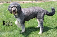 processed/c18069eb-d311-42d9-82f3-186976c999e0/facility/48f21a89-1d88-4f5c-a2e5-0611a091eb6a