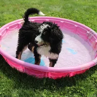 processed/c18069eb-d311-42d9-82f3-186976c999e0/facility/ce304f46-8b7c-4a6f-a975-6dd49fef0fe2