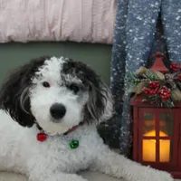 processed/c18069eb-d311-42d9-82f3-186976c999e0/facility/f61fb290-0c5f-4793-aedf-0a6e27a1d686