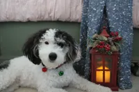 processed/c18069eb-d311-42d9-82f3-186976c999e0/facility/f61fb290-0c5f-4793-aedf-0a6e27a1d686