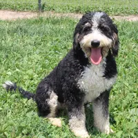 processed/c18069eb-d311-42d9-82f3-186976c999e0/facility/faa13b04-f1c5-4904-82b8-dcda49deb71c