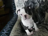 processed/c1818104-0cd5-492b-9222-9539a60c3179/listing/f9502238-4802-441d-b5e0-b9a9ebd4bf81/289ba1e4-2304-4f83-93f9-ffc0f374f7bd