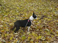 processed/c1818104-0cd5-492b-9222-9539a60c3179/listing/f9502238-4802-441d-b5e0-b9a9ebd4bf81/8a39044a-69ce-4a09-912a-51cec8130131