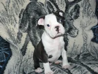 processed/c1818104-0cd5-492b-9222-9539a60c3179/listing/f9502238-4802-441d-b5e0-b9a9ebd4bf81/cde253c3-3fa6-4667-a19b-8cb81e63be66