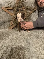 processed/c18996aa-19f2-4b30-96d1-1bad21654a4d/listing/b8ce64da-9c75-48c2-84c4-8cf5ebe5bfef/d4237788-49a1-460c-a6c0-477e5fa60c2f