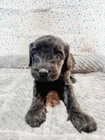 processed/c191021d-a3d1-4aa4-8938-2ac6b42d8147/listing/59adfd12-df82-4e74-ad3a-e74c569951bb/4d9cf13d-a9a9-492c-984a-d17110d357b3