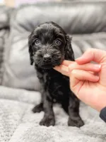 processed/c191021d-a3d1-4aa4-8938-2ac6b42d8147/listing/59adfd12-df82-4e74-ad3a-e74c569951bb/d1b826f6-e73d-44d6-95c6-350570b1e39a