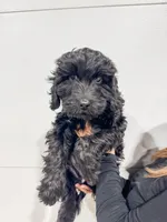 processed/c191021d-a3d1-4aa4-8938-2ac6b42d8147/listing/59adfd12-df82-4e74-ad3a-e74c569951bb/fe2c377f-7a1b-4e8b-a7f3-e9d36d6ef280