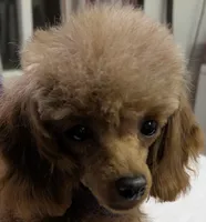 processed/c1962a5b-f033-493a-b5a1-96c6cfe282bc/listing/c581ee5b-bac9-4d98-b757-f9a5d24603b0/2278500f-e2e9-4aeb-9eb2-113ff27bb119