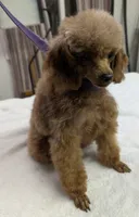 processed/c1962a5b-f033-493a-b5a1-96c6cfe282bc/listing/c581ee5b-bac9-4d98-b757-f9a5d24603b0/9cd1059c-c275-4d6c-8a61-982127e66a07