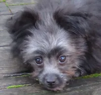 processed/c1962a5b-f033-493a-b5a1-96c6cfe282bc/listing/f78e93a2-e45b-4784-846f-0baf6ad1f4e6/0585fed2-7871-499a-8683-92908c10e1aa