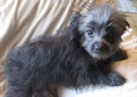 processed/c1962a5b-f033-493a-b5a1-96c6cfe282bc/listing/f78e93a2-e45b-4784-846f-0baf6ad1f4e6/709b33ae-ba8a-4519-90a6-e6ba1a13dde2