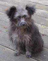 processed/c1962a5b-f033-493a-b5a1-96c6cfe282bc/listing/f78e93a2-e45b-4784-846f-0baf6ad1f4e6/760fea9c-2497-4b32-aeb2-a7f3b0fba67d