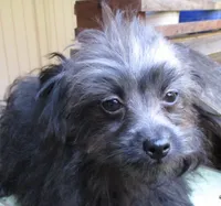 processed/c1962a5b-f033-493a-b5a1-96c6cfe282bc/listing/f78e93a2-e45b-4784-846f-0baf6ad1f4e6/8d71c93d-c39e-40a6-8a2f-2a5e77afc673