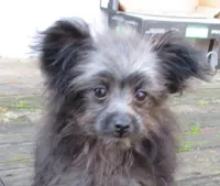 processed/c1962a5b-f033-493a-b5a1-96c6cfe282bc/listing/f78e93a2-e45b-4784-846f-0baf6ad1f4e6/d44f20f1-5c7f-4324-ab04-08f476718db7