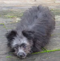 processed/c1962a5b-f033-493a-b5a1-96c6cfe282bc/listing/f78e93a2-e45b-4784-846f-0baf6ad1f4e6/e6768fb0-5c40-4a98-9c12-7246ebeddfba