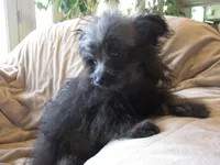 processed/c1962a5b-f033-493a-b5a1-96c6cfe282bc/listing/f78e93a2-e45b-4784-846f-0baf6ad1f4e6/f45120d3-8e61-4fd3-9f03-b73962f809a7