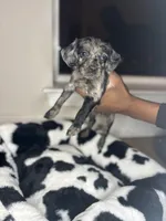 processed/c1962f8c-6d6d-4d5b-b492-3066d3959e02/listing/6822c062-2fdc-4b5b-af9a-57000cb308f9/5178369a-5da0-4807-ae90-d15b8725f026