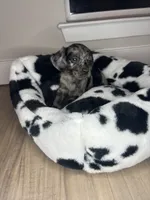 processed/c1962f8c-6d6d-4d5b-b492-3066d3959e02/listing/6822c062-2fdc-4b5b-af9a-57000cb308f9/54ec9612-1d29-4156-9e1e-53b8196bf5bc