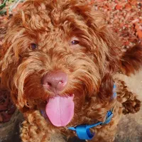 processed/c19ab5c6-3251-475f-90c5-eb3e6cc30f82/facility/09e6dde6-f549-4b9e-87c2-77ca53f915ae