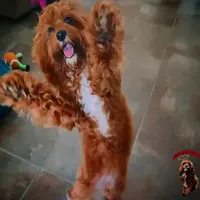 processed/c19ab5c6-3251-475f-90c5-eb3e6cc30f82/facility/345c7577-0702-45af-a50d-edfa1db9835a