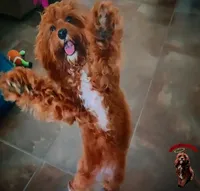 processed/c19ab5c6-3251-475f-90c5-eb3e6cc30f82/facility/345c7577-0702-45af-a50d-edfa1db9835a