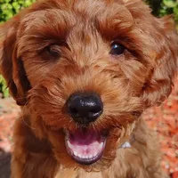 processed/c19ab5c6-3251-475f-90c5-eb3e6cc30f82/facility/4c28d8b6-3d63-4033-9473-341ce83a3475