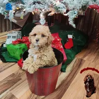 processed/c19ab5c6-3251-475f-90c5-eb3e6cc30f82/facility/943d6079-7360-4ba7-87c1-bb22f92d42af