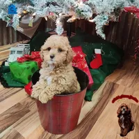 processed/c19ab5c6-3251-475f-90c5-eb3e6cc30f82/facility/943d6079-7360-4ba7-87c1-bb22f92d42af