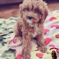 processed/c19ab5c6-3251-475f-90c5-eb3e6cc30f82/facility/a69cbacc-094c-4789-b86d-b4281cfdfc02