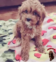 processed/c19ab5c6-3251-475f-90c5-eb3e6cc30f82/facility/a69cbacc-094c-4789-b86d-b4281cfdfc02