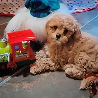 processed/c19ab5c6-3251-475f-90c5-eb3e6cc30f82/facility/aea94a64-147c-4996-9192-95cf9744635b