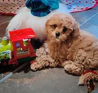 processed/c19ab5c6-3251-475f-90c5-eb3e6cc30f82/facility/aea94a64-147c-4996-9192-95cf9744635b