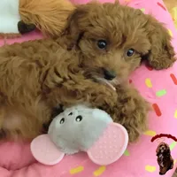 processed/c19ab5c6-3251-475f-90c5-eb3e6cc30f82/facility/d0195d6e-e0b2-41e2-bc0d-2dc4c3e36619