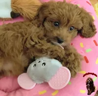 processed/c19ab5c6-3251-475f-90c5-eb3e6cc30f82/facility/d0195d6e-e0b2-41e2-bc0d-2dc4c3e36619