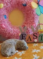 Titan (Micro/Petite Goldendoodle-Cavapoo), a male Cavapoo and Miniature Goldendoodle for sale in Dallas, TX – Photo 9 of 9