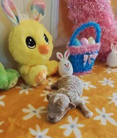 Taylor (Toy Cavapoo), a female Cavapoo and Poodle - Toy  for sale in Dallas, TX – Photo 10 of 10