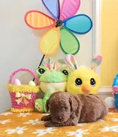 Jorie (Miniature Goldendoodle-Cavapoo), a female Cavapoo and Miniature Goldendoodle for sale in Dallas, TX – Photo 6 of 10