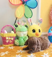 Jorie (Miniature Goldendoodle-Cavapoo), a female Cavapoo and Miniature Goldendoodle for sale in Dallas, TX – Photo 7 of 10